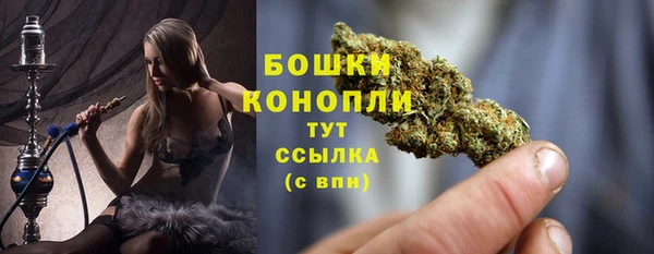 гашик Дмитриев