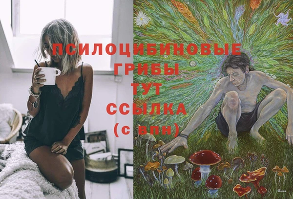 гашик Дмитриев