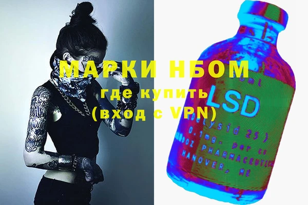 гашик Дмитриев