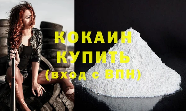 гашик Дмитриев