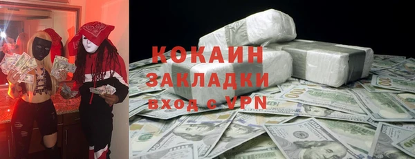 гашик Дмитриев