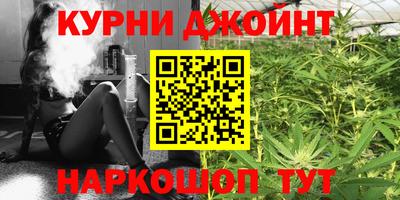 индика Пугачёв