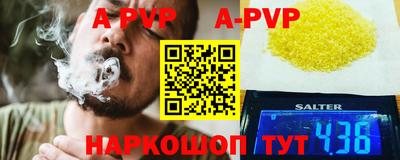 индика Пугачёв