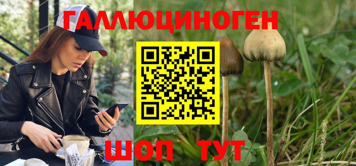 Галлюциногенные грибы прущие грибы  Псилоцибиновые грибы MAGIC MUSHROOMS  Вход с VPN  Сухой Лог 