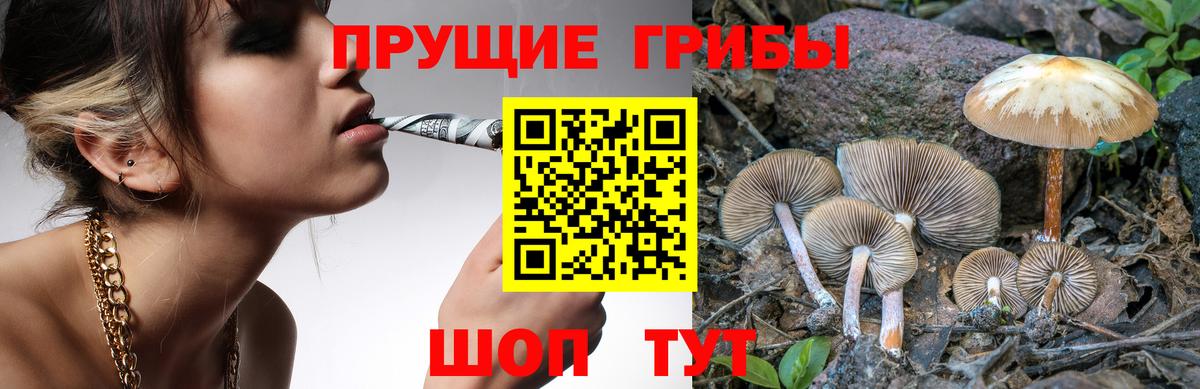 Галлюциногенные грибы мицелий Сухой Лог